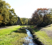 都立野川公園